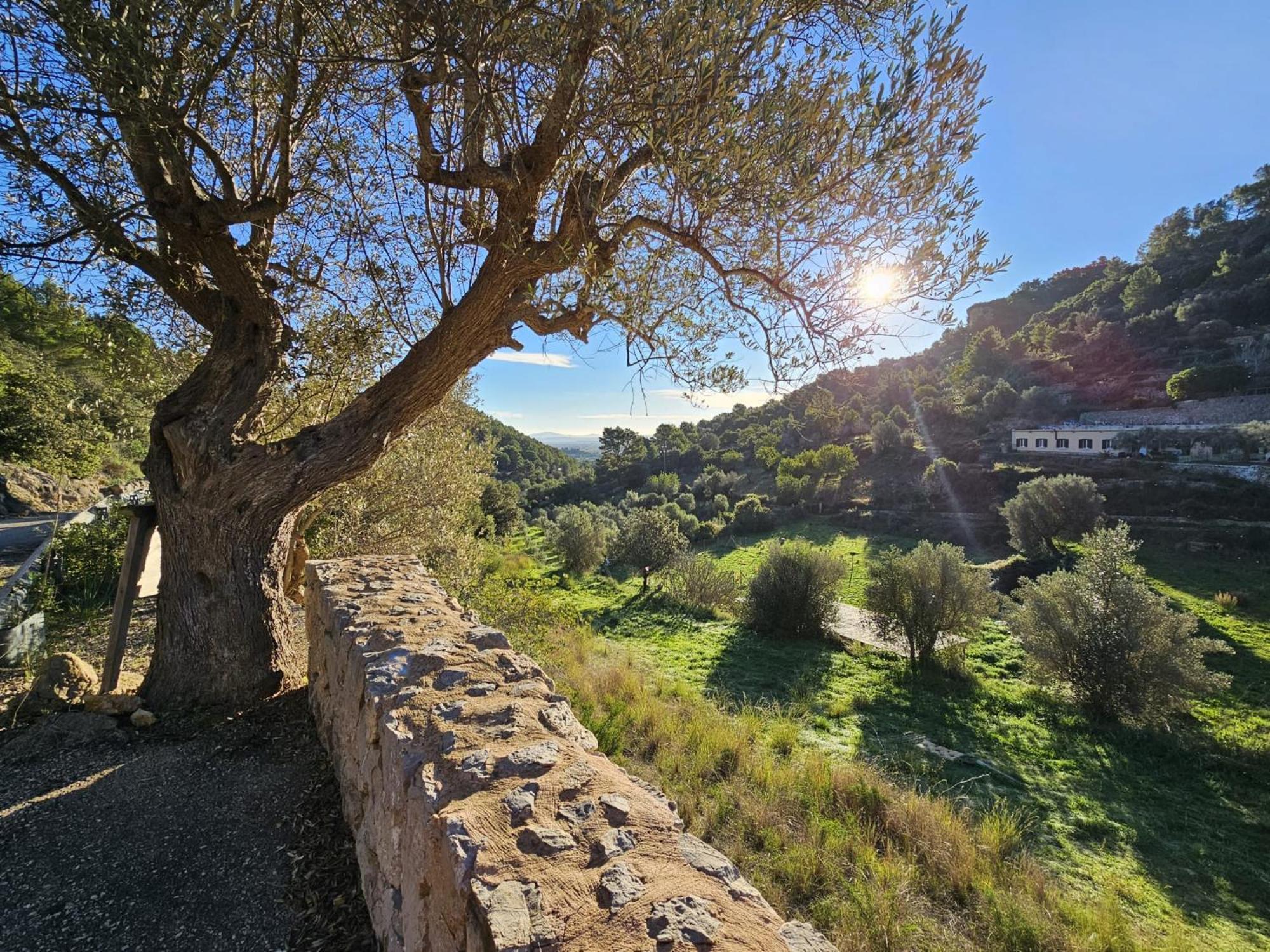الارو Agroturismo Finca Can Sec المظهر الخارجي الصورة